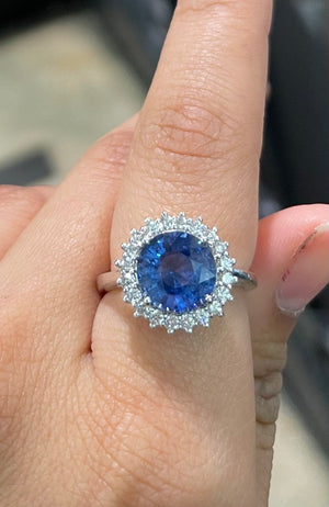 Ceylon Sapphire & Diamond Halo Ring