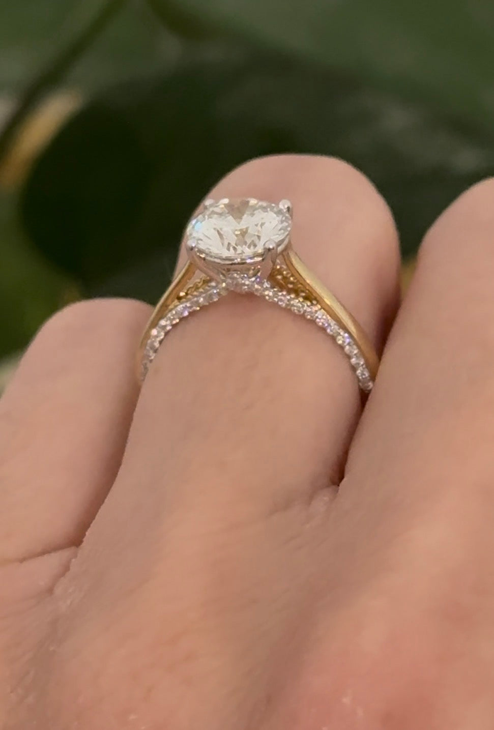 Yellow gold lab diamond ring. Lab diamonds are set in white gold.