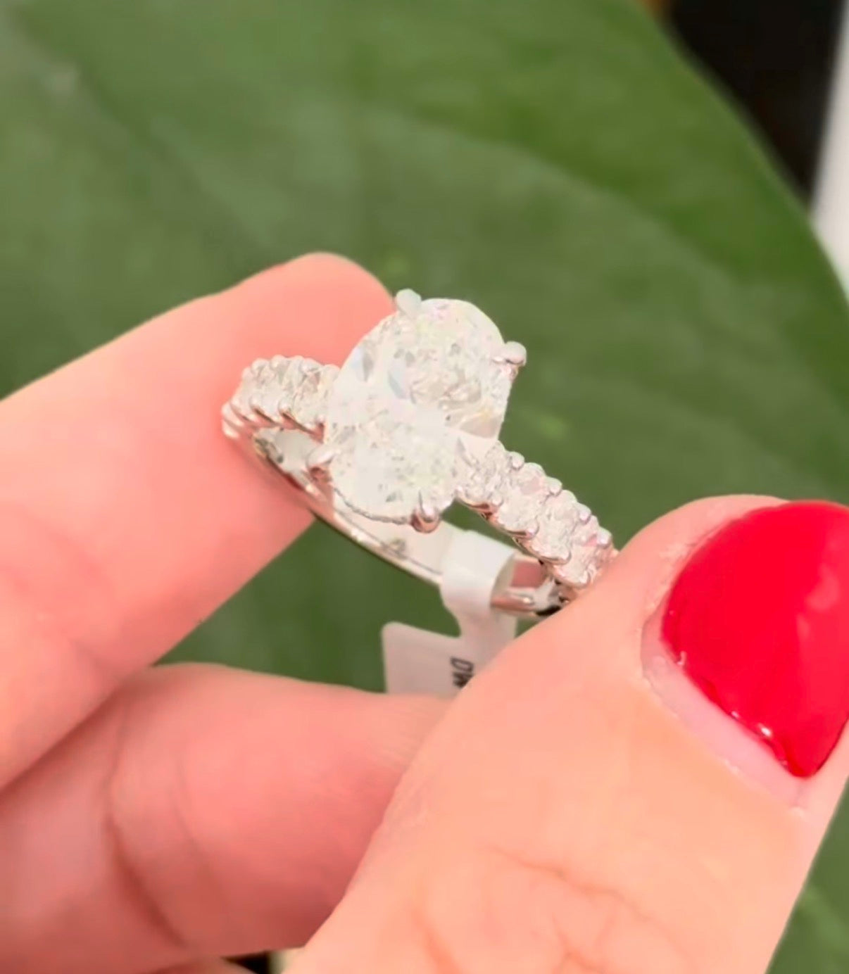 White gold oval lab diamond ring. Center stone is IGI certified and 3.07cts E VVS2