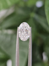 IGI 1.27CT OVAL D VS1