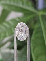 IGI 3.33CT OVAL F VS2