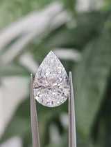 IGI 4CT PEAR F VS1