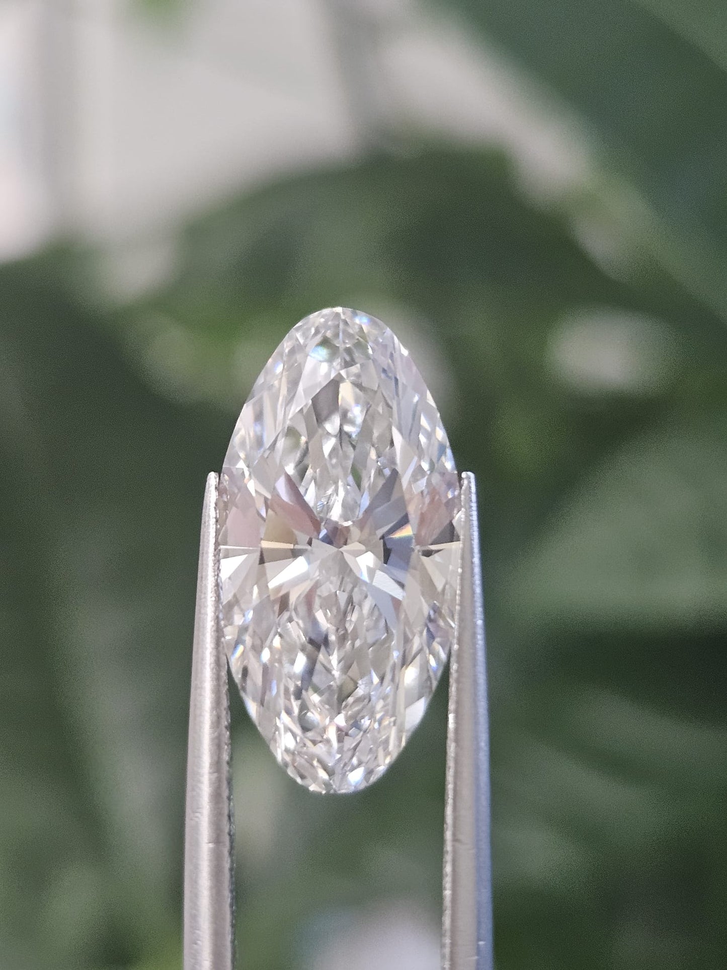 IGI 4.04CT MOVAL E VS1