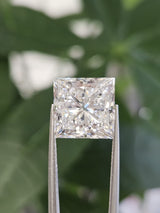 IGI 7.56CT PRINCESS F VS1