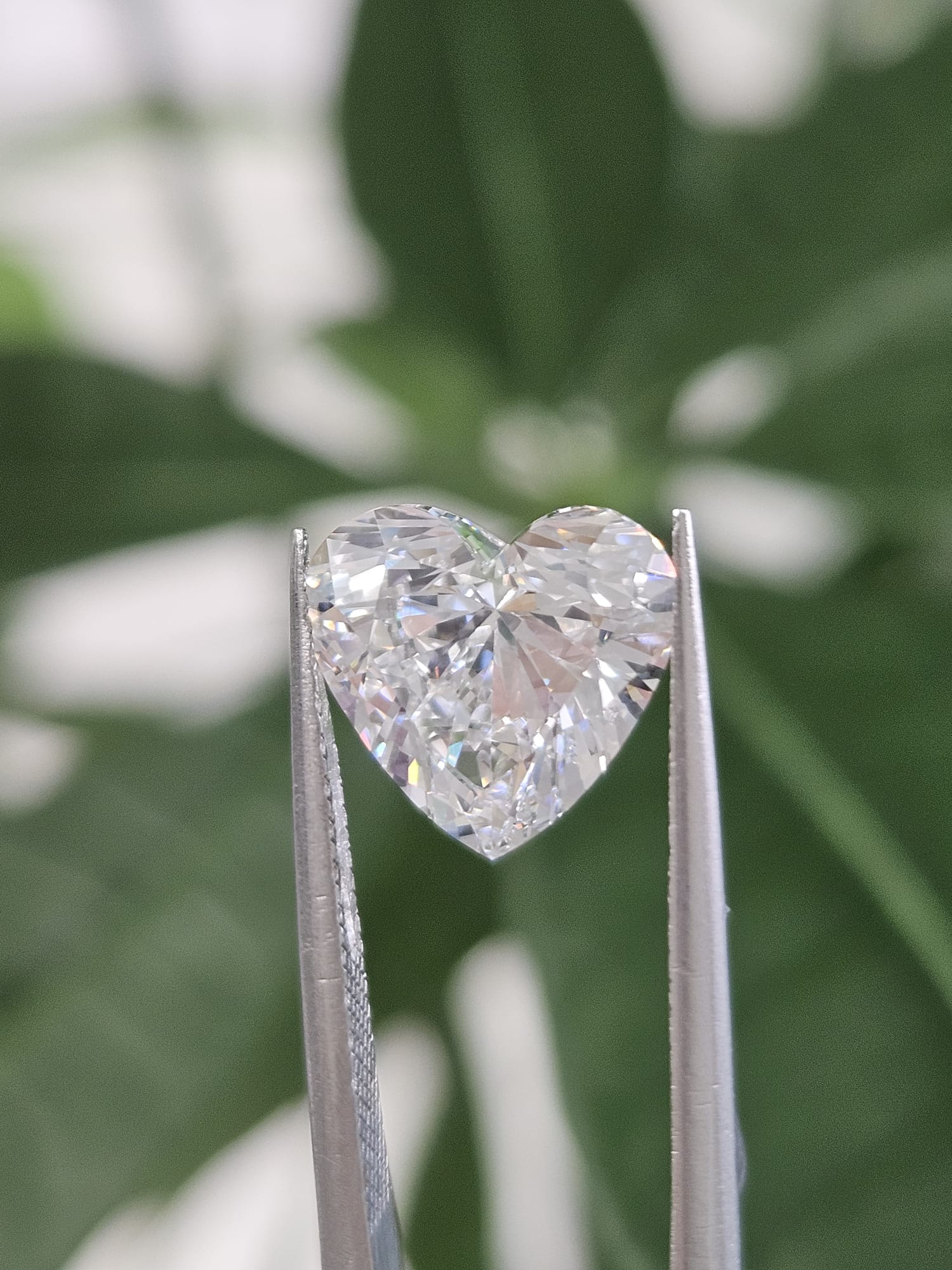 3.07CT HEART E VVS2