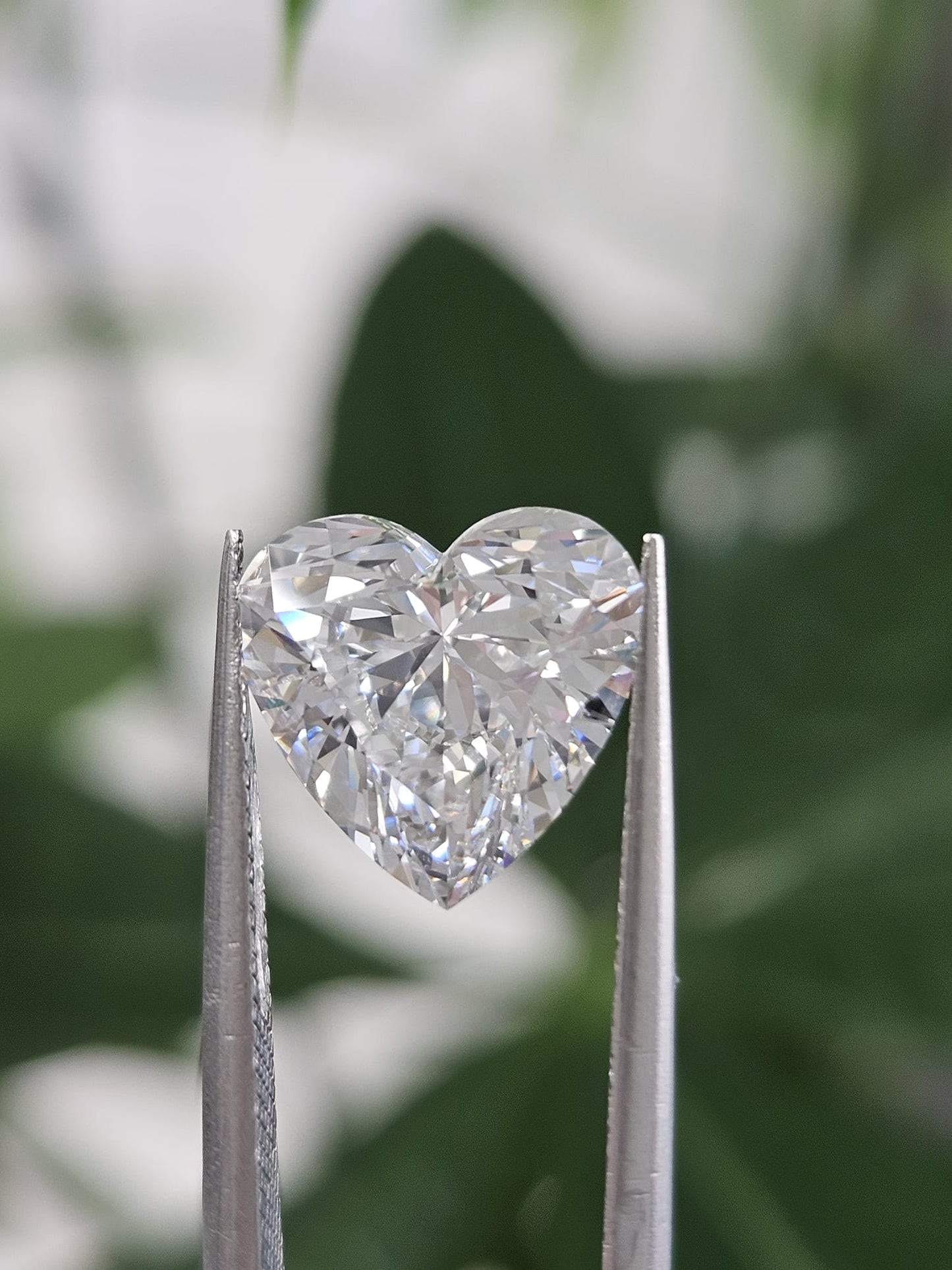 3.07CT HEART E VVS2
