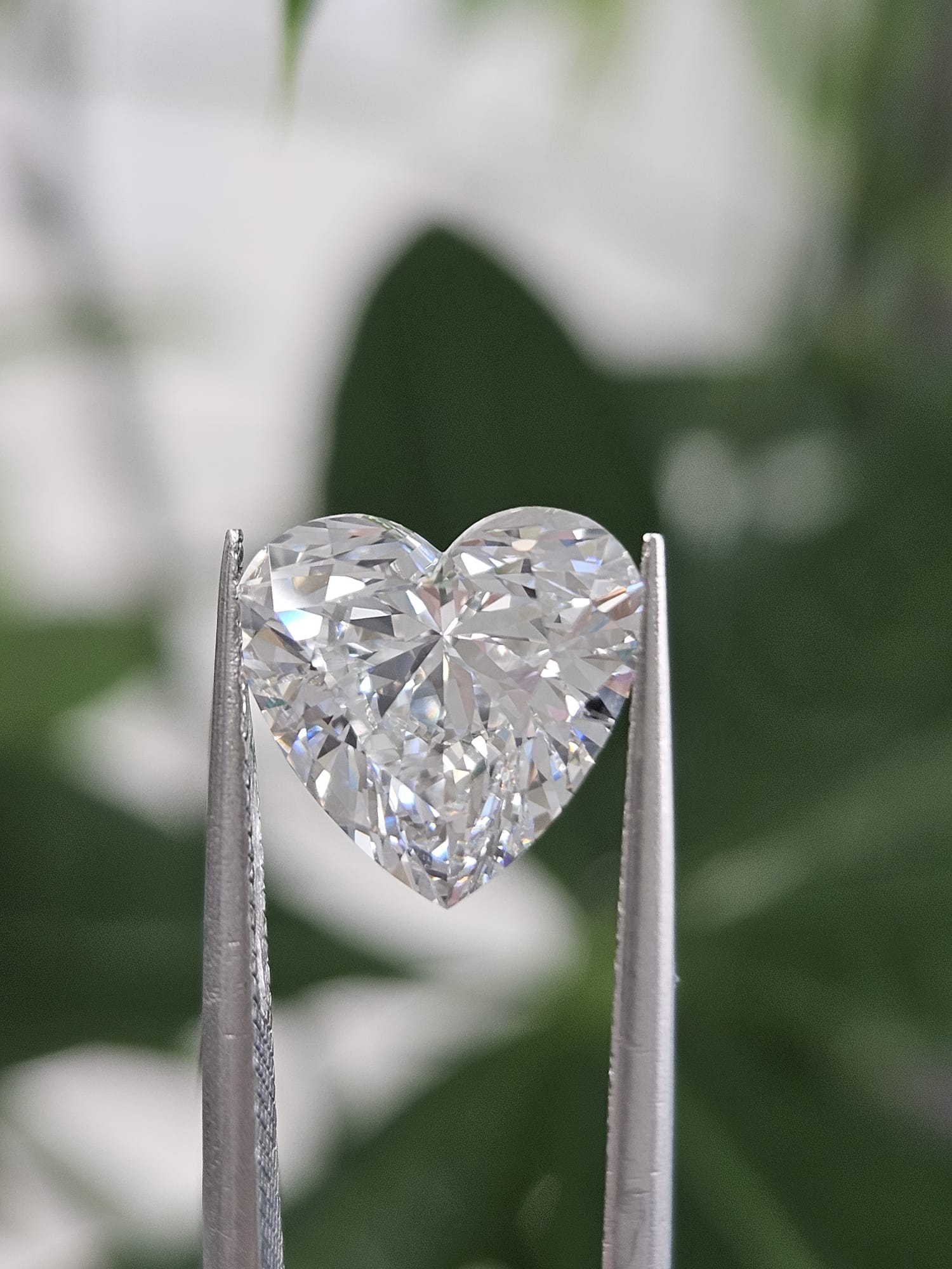 3.07CT HEART E VVS2