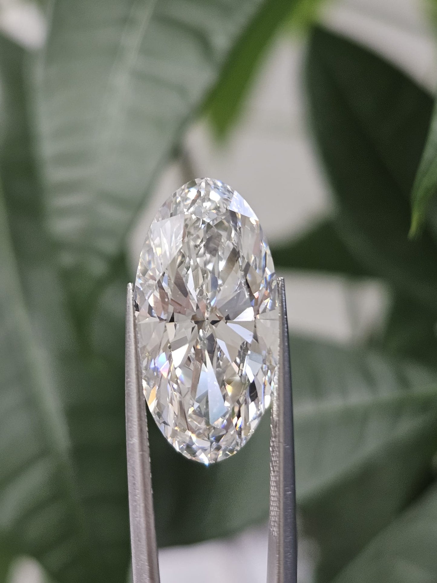 IGI 9.39CT MOVAL E VVS2