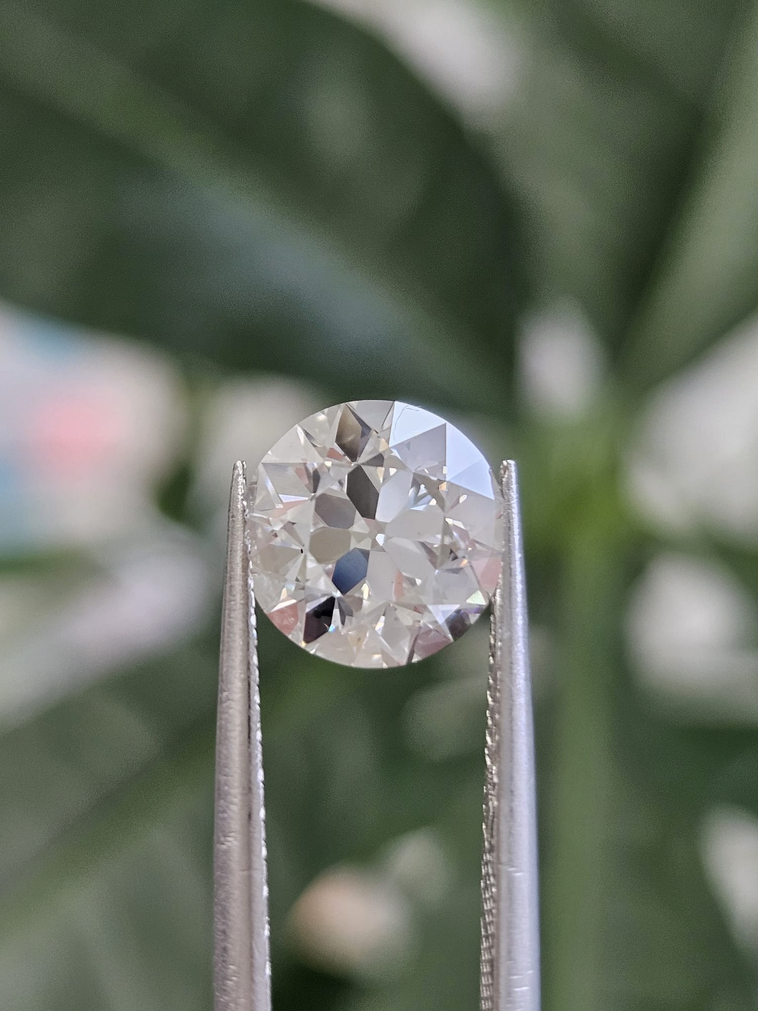 IGI 2.03CT OEC E VS1