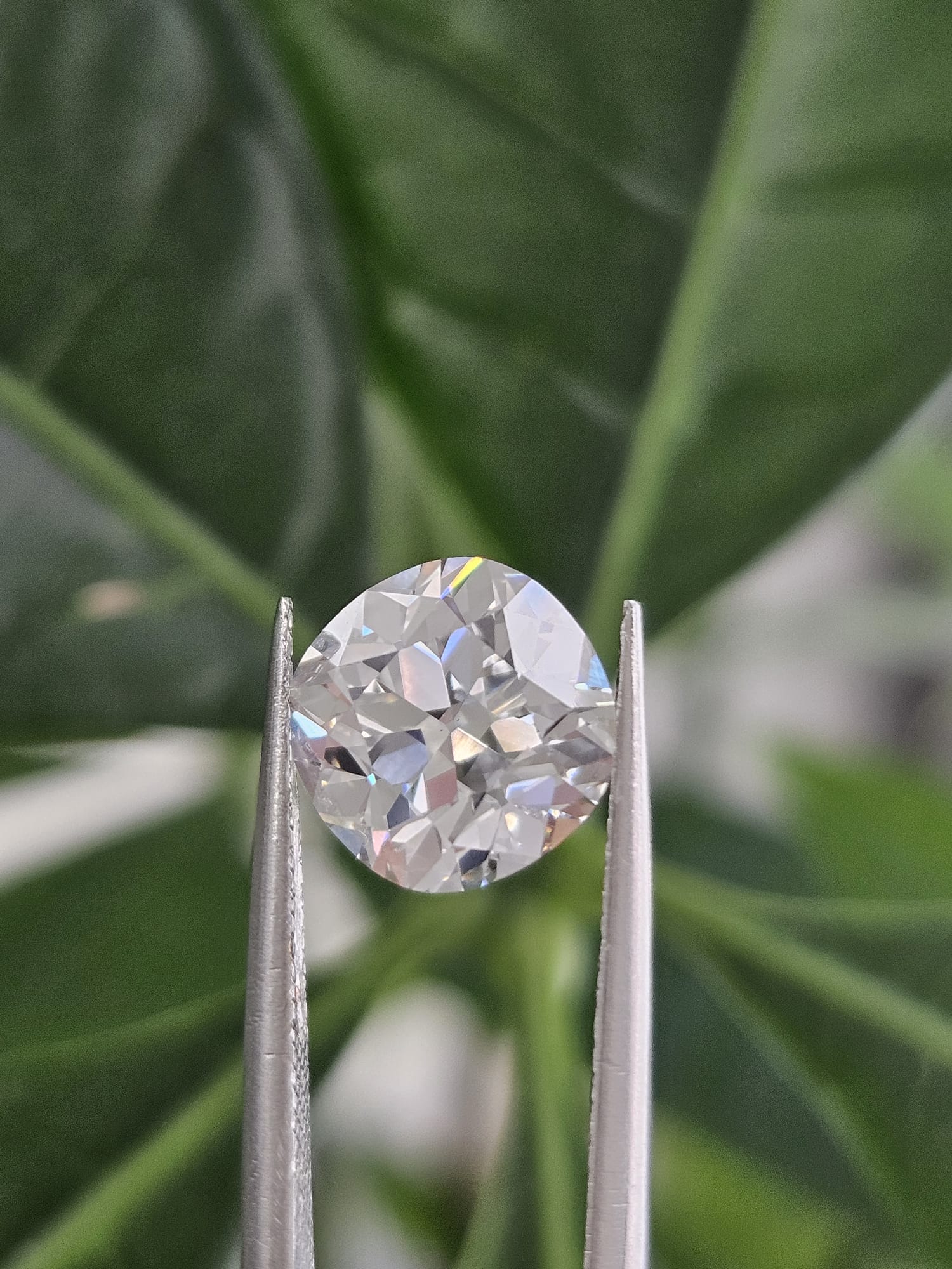 IGI 3.04CT SQUARE OMC E VS1