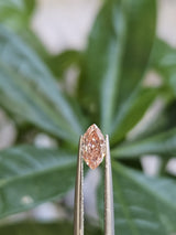 IGI 0.50CT MARQUISE FANCY VIVID PINK VVS2