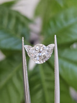 IGI 2.60CT FREEFORM E VS1
