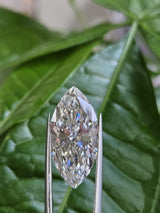 IGI 10.03CT MARQUISE G VS1