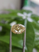 IGI 4.02CT OVAL FANCY INTENSE YELLOW VS1