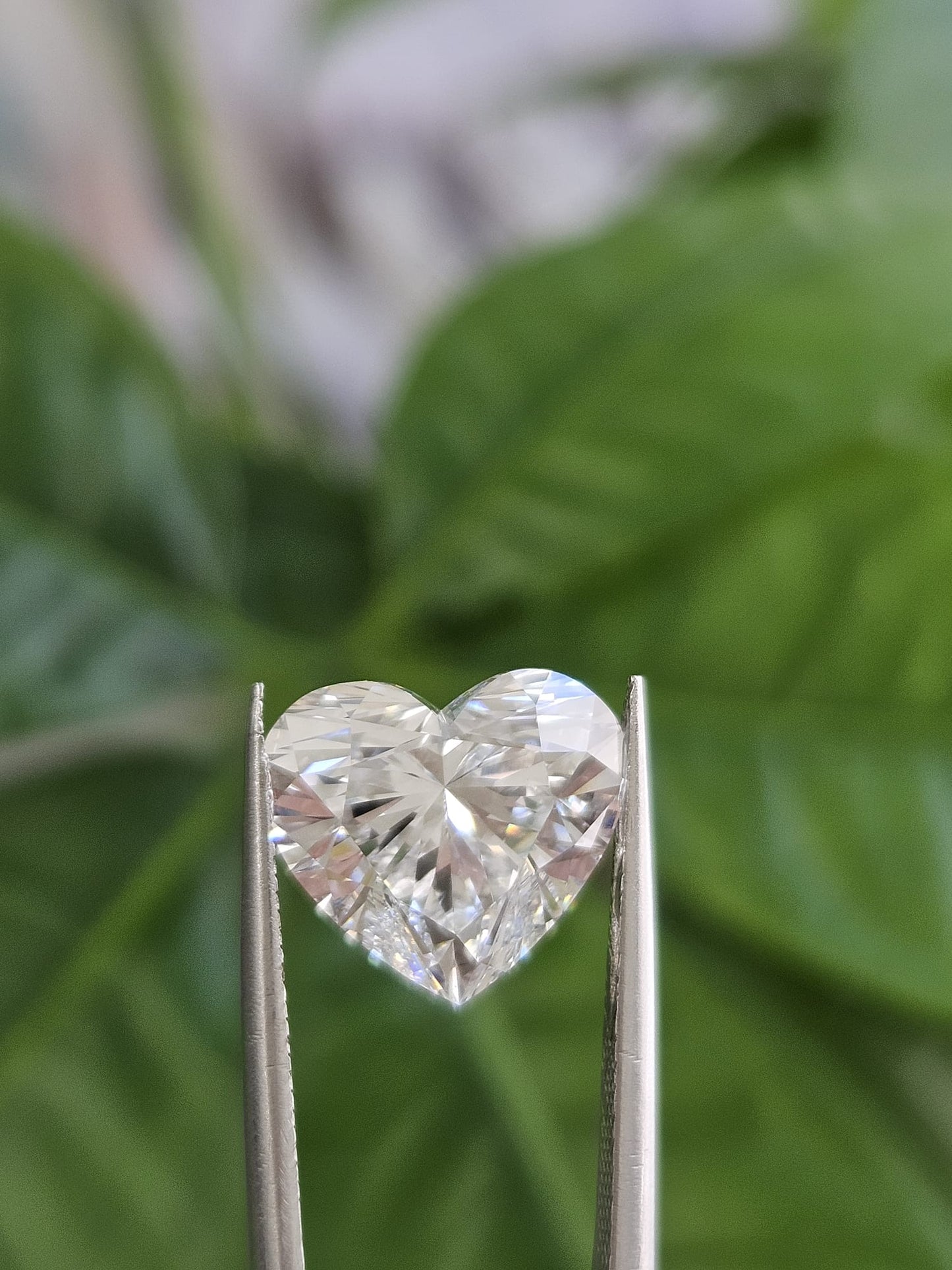 IGI 5.03CT HEART F VS1
