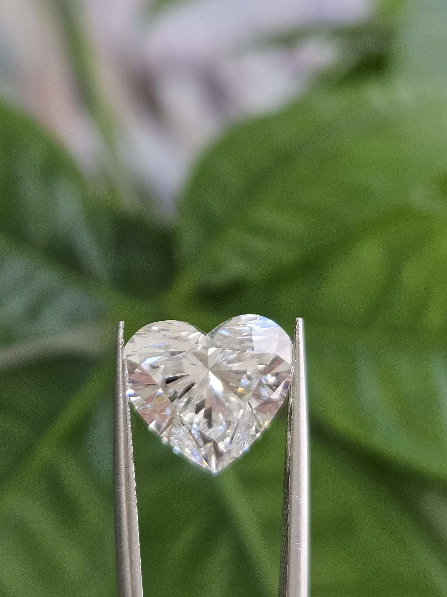 IGI 5.03CT HEART F VS1