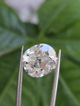 IGI 5.03CT OMC F VVS2