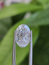IGI 3.11CT PORTUGUESE OVAL D VS1
