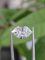 IGI 2.91CT LIP D VS1