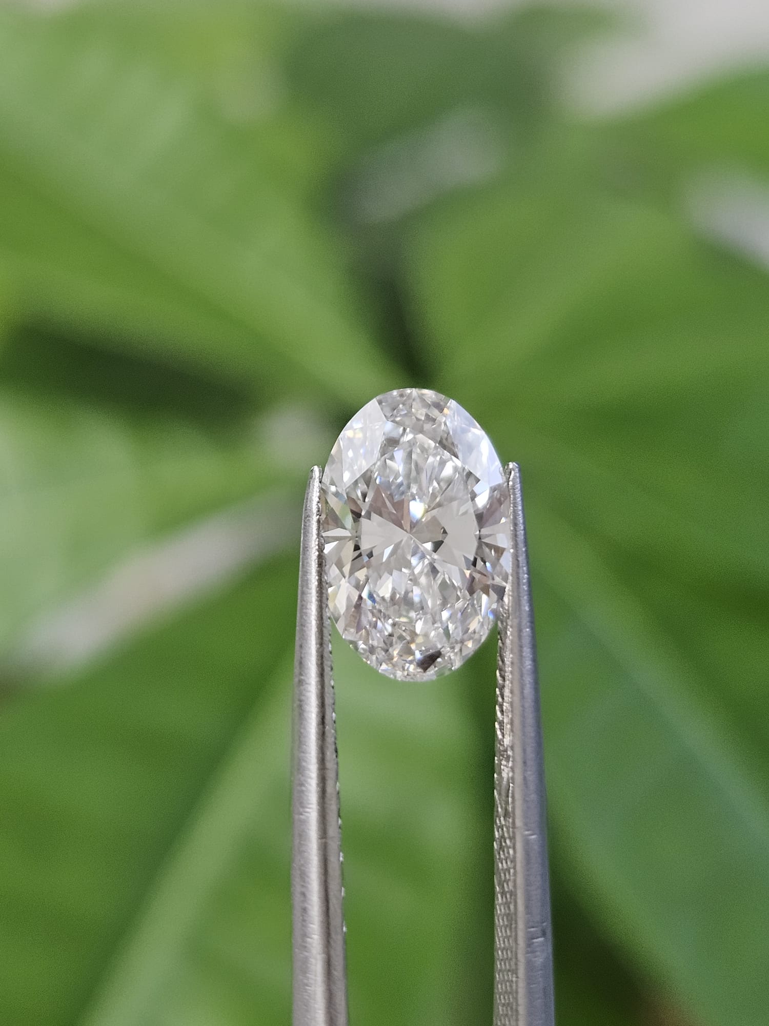 IGI 1.59CT OVAL E VS1