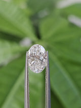 IGI 1.51CT OVAL E VS1