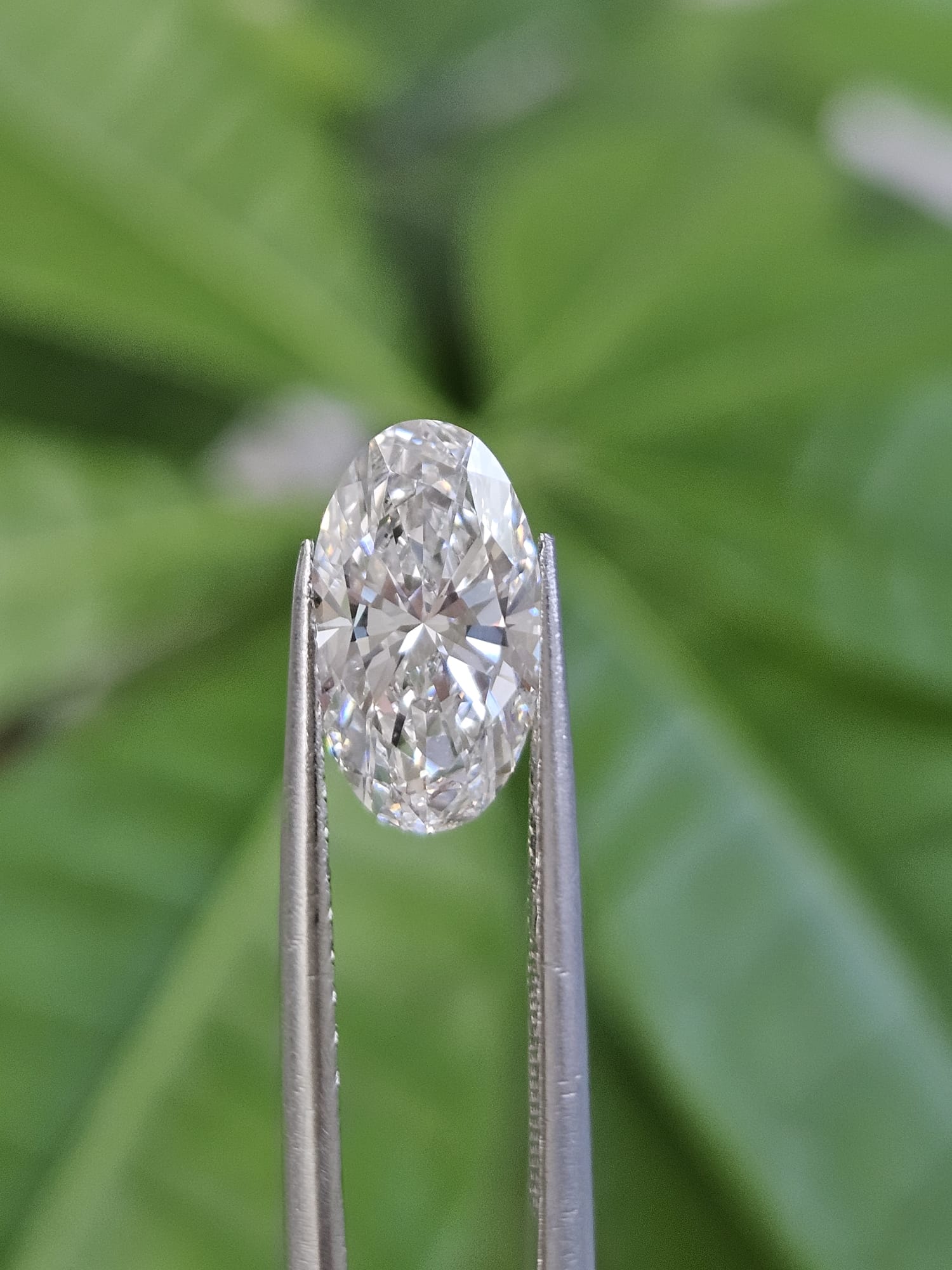 IGI 2.02CT MOVAL D VVS2
