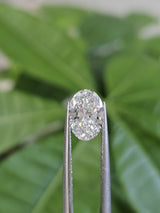 IGI 1.57CT OVAL E VVS2