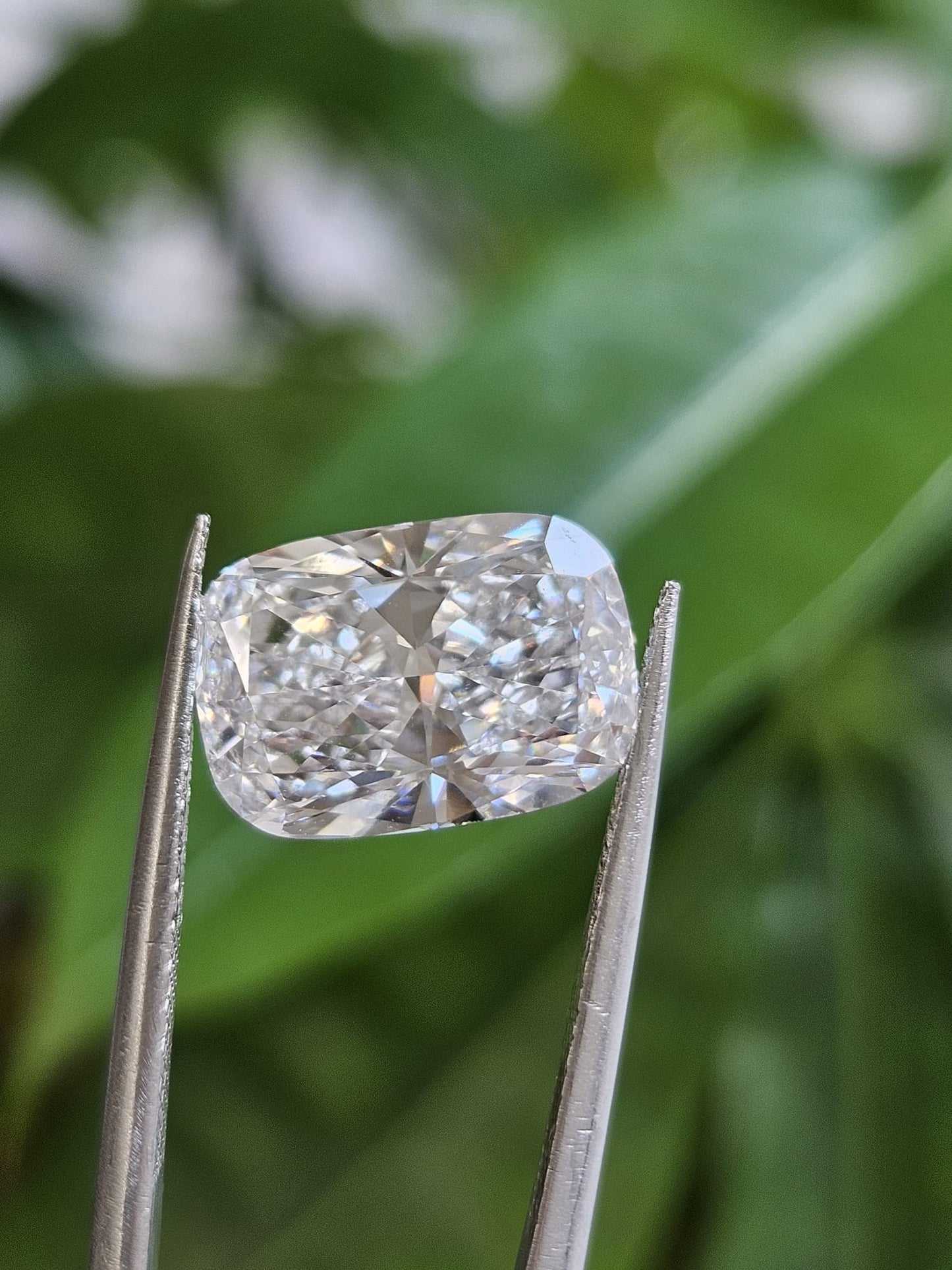 IGI 5.01CT CUSHION E VS1
