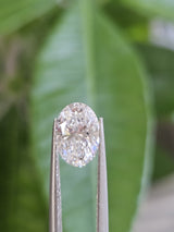 IGI 1.59CT OVAL D VS1