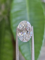 IGI 3.02CT OVAL D VS1