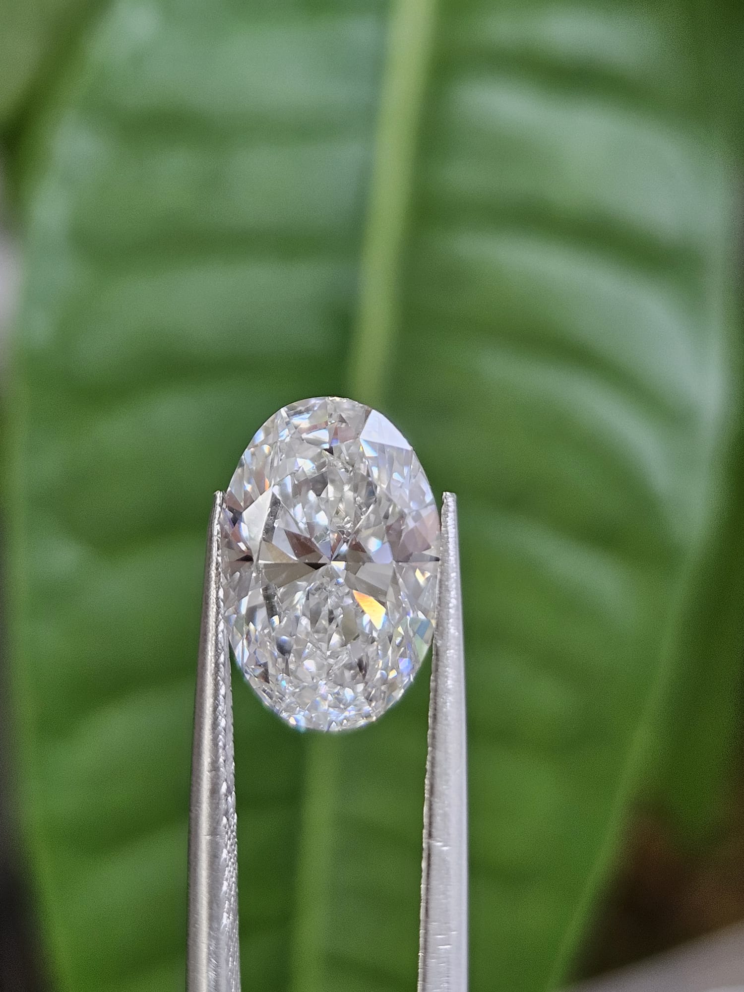 IGI 3.06CT OVAL E VVS2