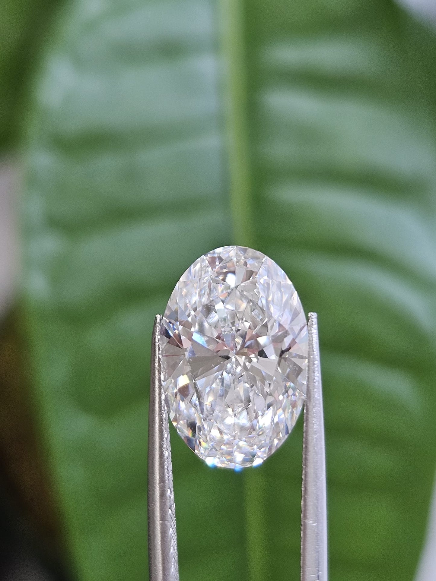 IGI 4.06CT OVAL F VS2