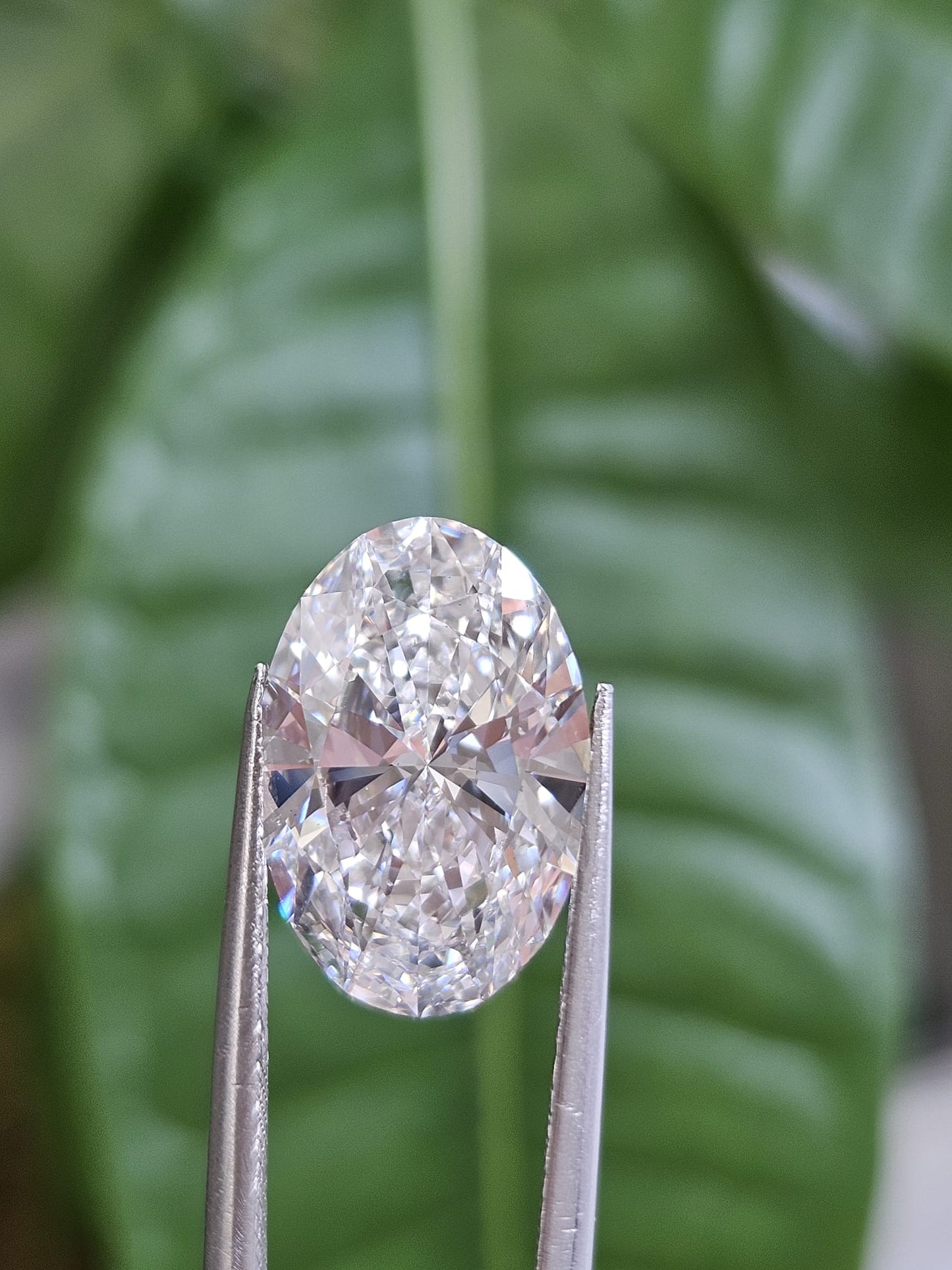 IGI 5.01CT OVAL E VS2