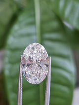 IGI 5.01CT OVAL E VS2