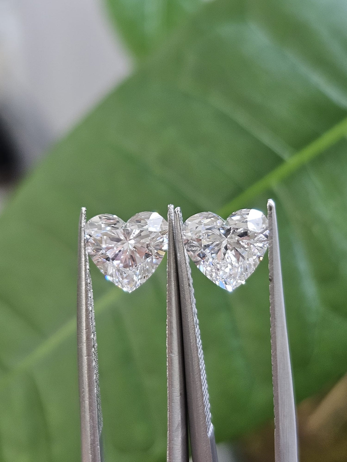 IGI 1.04CT + 1.04CT HEART PAIR D VVS2