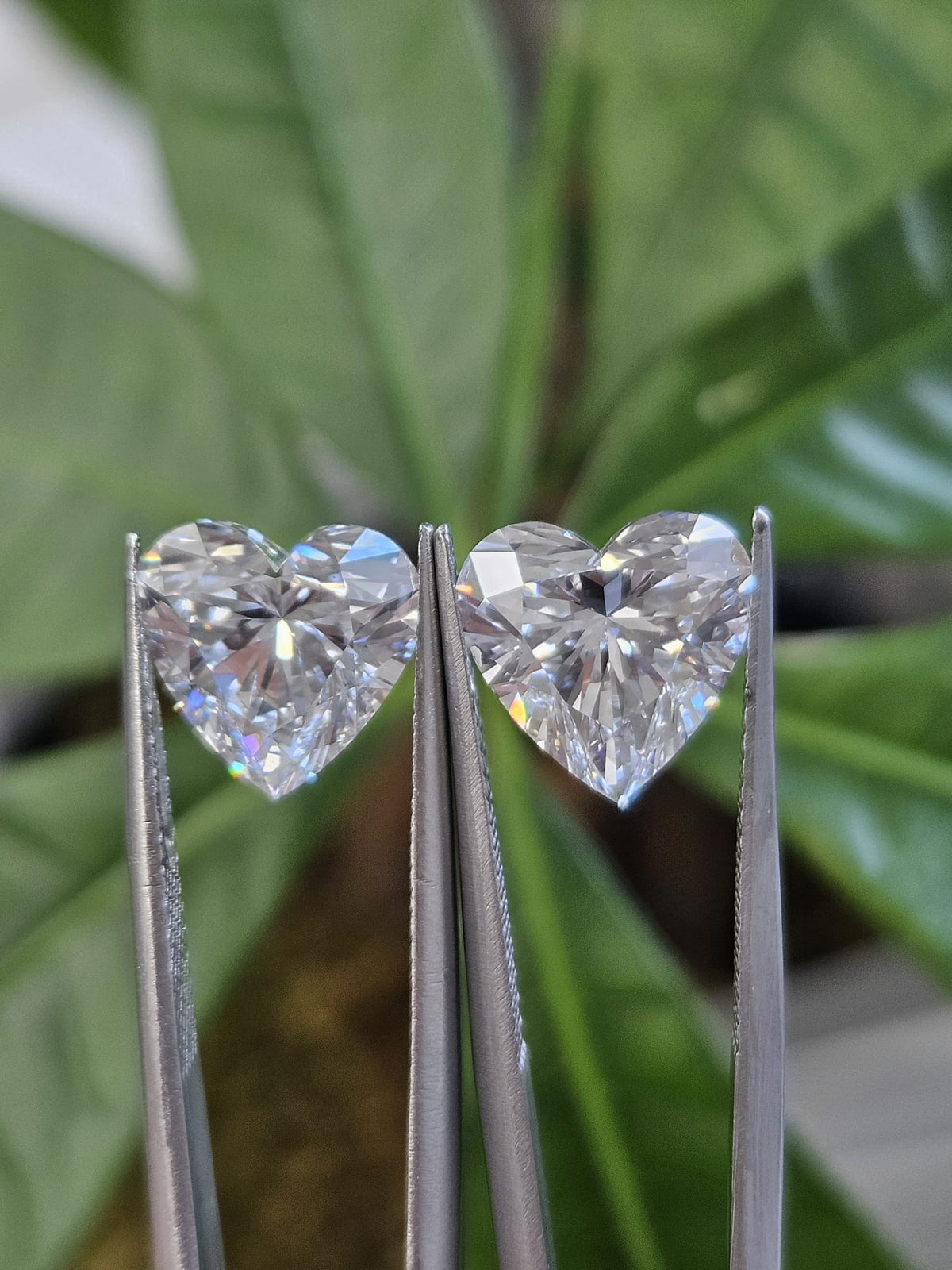 IGI 3.07CT + 3.07CT HEART D VS1