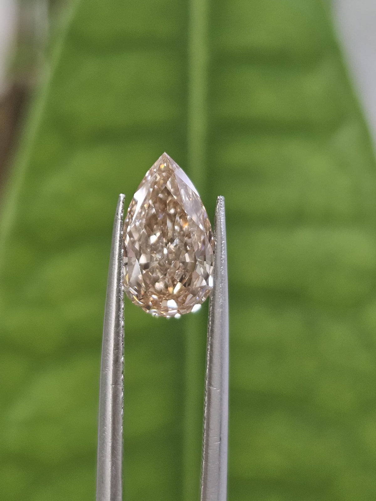 IGI 1.64CT PEAR LIGHT BROWN VVS2