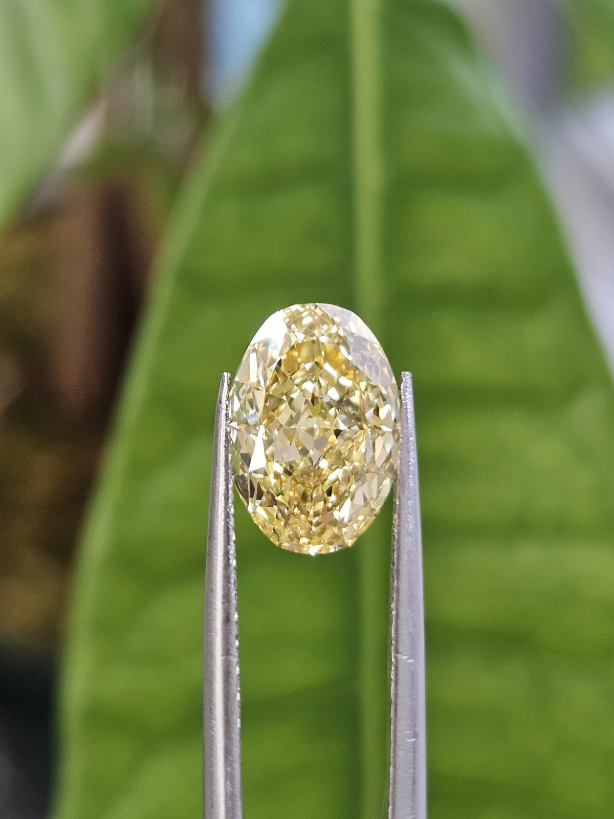 IGI 3.01CT OVAL FANCY VIVID YELLOW VS1