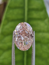 IGI 5.05CT OVAL FANCY VIVID PINK VS2