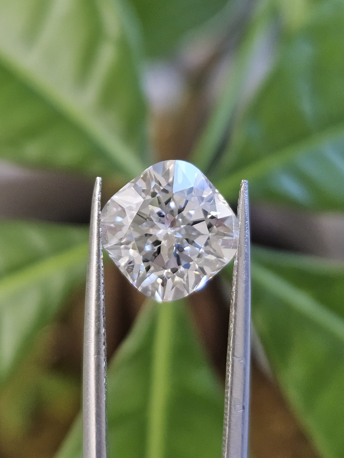 IGI 3.19CT CUSHION PADMA CUT E VS1