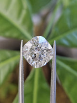 IGI 3.19CT CUSHION PADMA CUT E VS1