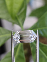 IGI 3.29CT HEXAGONAL STEP CUT D VVS2