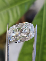 IGI 4.09CT OMC E VVS2