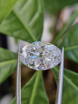 IGI 5.22CT ANTIQUE OVAL D VS1