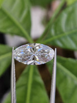 IGI 3.03CT MOVAL D VVS2