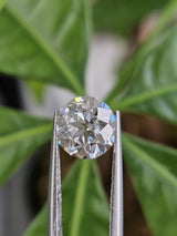 IGI 2.04CT OEC D VS1