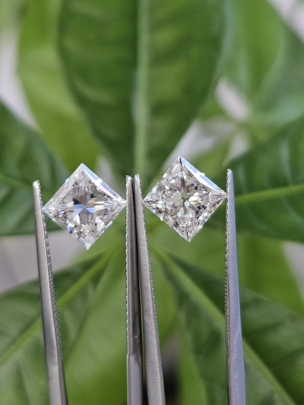 IGI 2CT + 2.03CT PRINCESS E VS1 + F VS1