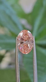 IGI 2CT OVAL FANCY VIVID PINK VS2