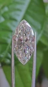 IGI 10.03CT MARQUISE G VS1