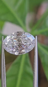 IGI 3.11CT PORTUGUESE CUT D VS1